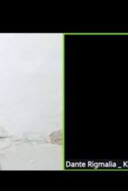 Koalisi Disabilitas Jatim Dorong Penguatan KND RI, Akses ke Presiden Jadi Sorotan