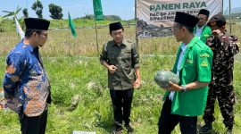 GP Ansor Rengel, Tuban panen raya semangka kuning di Desa Campurejo, Rengel, Kabupaten Tuban. (Foto: Istimewa)