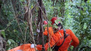 Hilang 12 Hari, Nenek Ditemukan Meninggal di Tebing Manik Oro Trenggalek