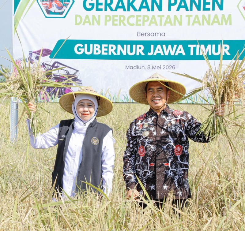 Gubernur Jawa Timur Khofifah Indar Parawansa bersama Bupati Madiun Hari Wuryanto memimpin Gerakan Panen dan Percepatan Tanam yang dilakukan di Desa Gading, Kec. Balerejo, Kab. Madiun. (Foto : Adpim For DigitalJatim)