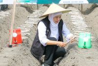 Gubernur Jawa Timur Khofifah Indar Parawansa memimpin kegiatan taman tebu perdana dalam rangka program bongkar ratoon serentak di Desa Ngletih, Kecamatan Kandat, Kabupaten Kediri. (Foto: Adpim For DigitalJatim)