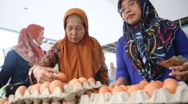 Jelang Libur Iduladha 2026, Pemkot Pastikan Ketersediaan Pangan di Surabaya Aman dan Terkendali.