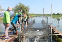 Gandeng DKPP, BRIDA Surabaya Fokus Kembangkan Silvofishery untuk Kawasan Tambak.