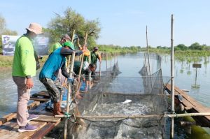 Gandeng DKPP, BRIDA Surabaya Fokus Kembangkan Silvofishery untuk Kawasan Tambak