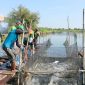 Gandeng DKPP, BRIDA Surabaya Fokus Kembangkan Silvofishery untuk Kawasan Tambak.