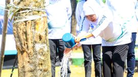 Gubernur Jawa Timur Khofifah Indar Parawansa bersama berbagai elemen masyarakat dan forkopimda Jatim melakukan aksi bersih sampah dan penanaman pohon dalam rangka puncak peringatan Hari Lingkungan Hidup Sedunia Tahun 2026 di kawasan Jalan MERR depan Kampus UIN Sunan Ampel (UINSA) II, Gunung Anyar, Surabaya. (Foto: Adpim For DigitalJatim)