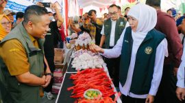 Gubernur Jawa Timur Khofifah Indar Parawansa kembali gelar Pasar Murah ke-76 tahun 2026 di Kawasan Wisata Kuliner (Wiskul) Gladak Serang, Kota Probolinggo. (Foto: Adpim For DigitalJatim)