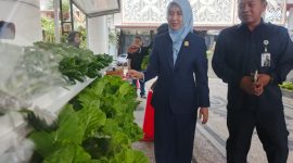 Wakil Ketua IV DPRD Jawa Timur Sri Wahyuni saat meninjau deretan tanaman hidroponik yang tumbuh subur di depan ruang Fraksi PDI Perjuangan DPRD Jatim.