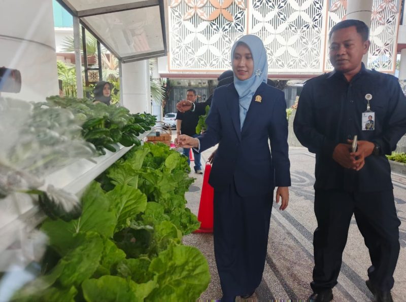 Wakil Ketua IV DPRD Jawa Timur Sri Wahyuni saat meninjau deretan tanaman hidroponik yang tumbuh subur di depan ruang Fraksi PDI Perjuangan DPRD Jatim.