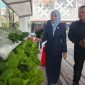 Wakil Ketua IV DPRD Jawa Timur Sri Wahyuni saat meninjau deretan tanaman hidroponik yang tumbuh subur di depan ruang Fraksi PDI Perjuangan DPRD Jatim.