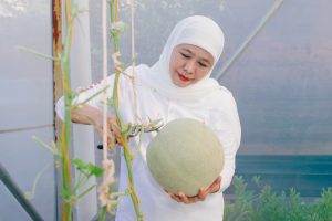 Gubernur Khofifah Resmikan Al-Akbar FishTech, Panen Ratusan Melon IoT Jadi Contoh Ketahanan Pangan Masjid