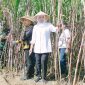 Gubernur Jawa Timur Khofifah Indar Parawansa memimpin kegiatan Panen dan Tanam Tebu Serentak Program Bongkar Ratoon dan Perluasan Areal Tebu Tahun 2026 di Desa Putukrejo, Kecamatan Gondanglegi, Kabupaten Malang. (Foto: Adpim For DigitalJatim)