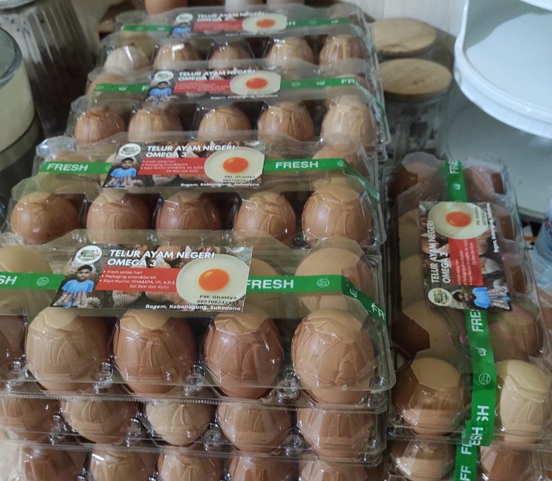 Peternak Telur Ayam Negeri Omega 3 Sidoarjo Keluhkan Harga Pakan Naik, KDMP Diyakini Dongkrak Penjualan