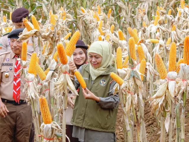 Hari Tani Nasional 2026, Gubernur Khofifah Apresiasi Petani Jatim Penjaga Lumbung Pangan